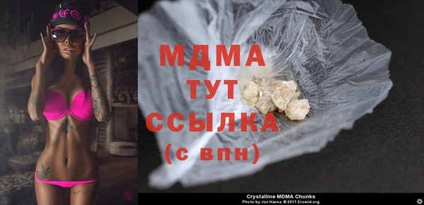 шишки Гусев