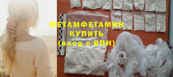 шишки Гусев