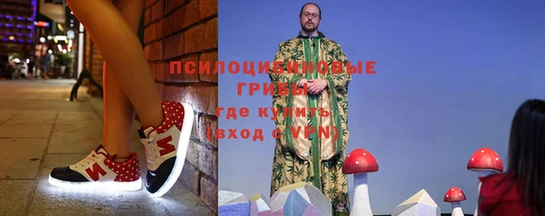 шишки Гусев