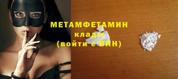 шишки Гусев