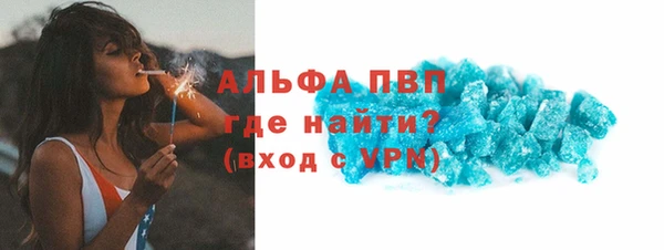 шишки Гусев