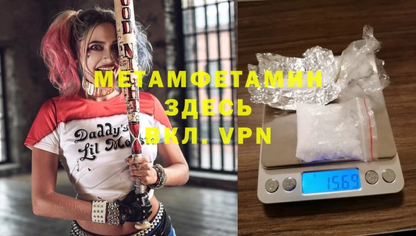 шишки Гусев