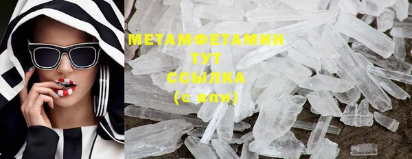 шишки Гусев