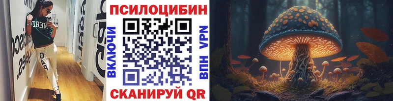 блэк спрут ссылка  Новочебоксарск  Псилоцибиновые грибы прущие грибы 
